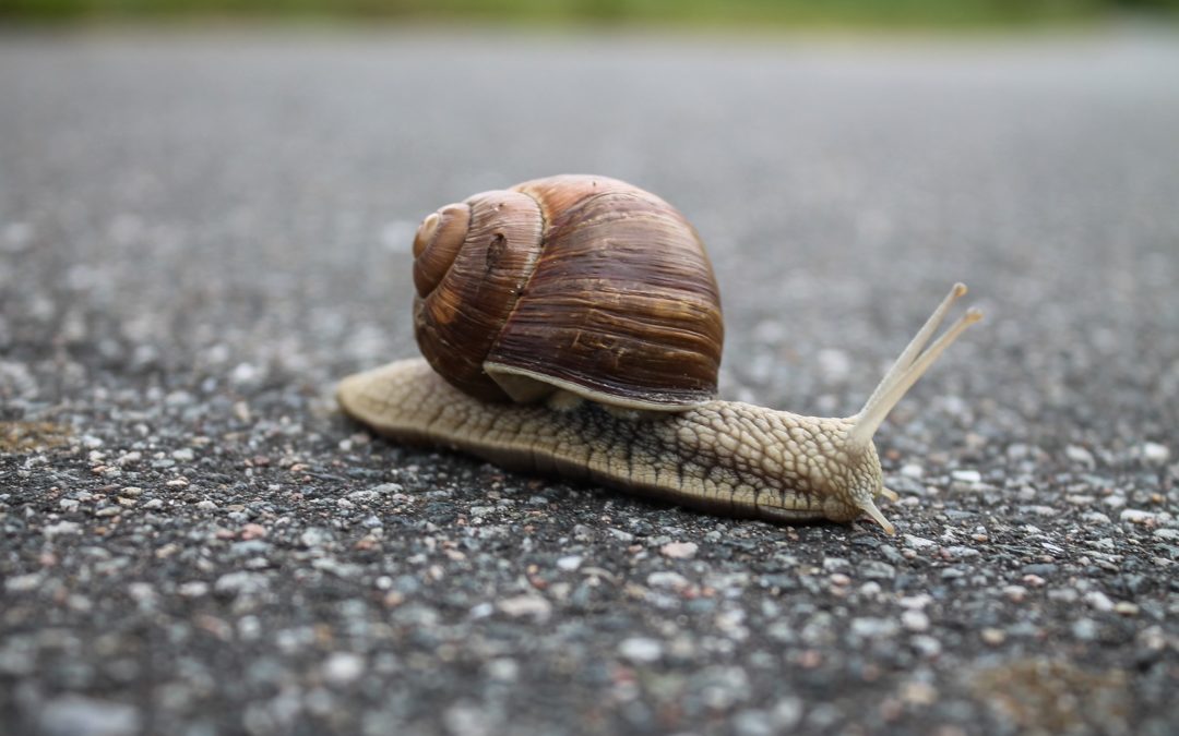 nadmiar śluzu i flegmy ajurweda