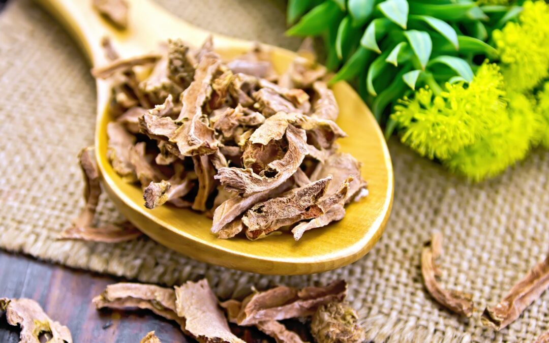 Adaptogeny, które rosną bliżej niż myślisz